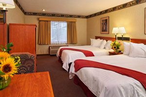 Hotel room with two beds and two lamps, sunflowers on the tables