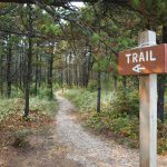 Wooded trail with trailhead sign in foreground