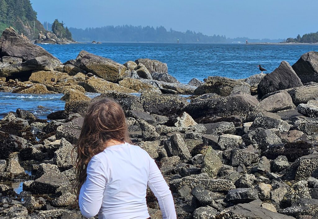Black Oystercatcher rocky coast child observing