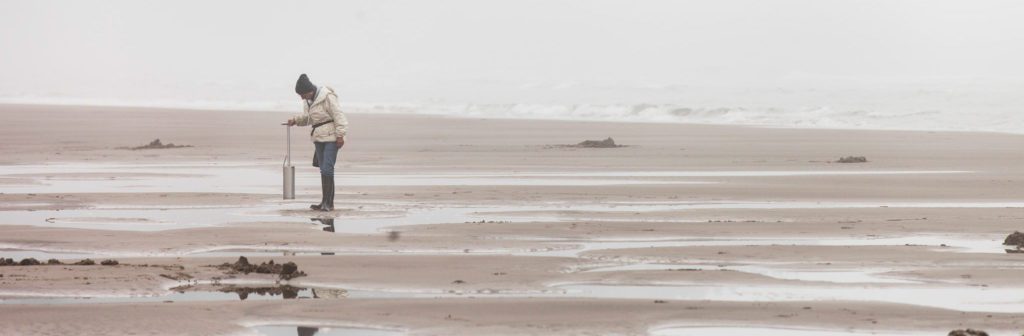 clamming foggy beach crop