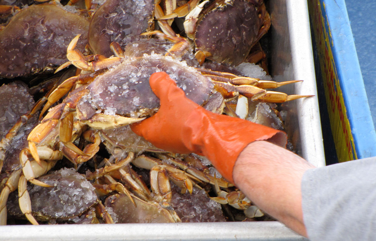 Manzanita Oregon Food and Drink