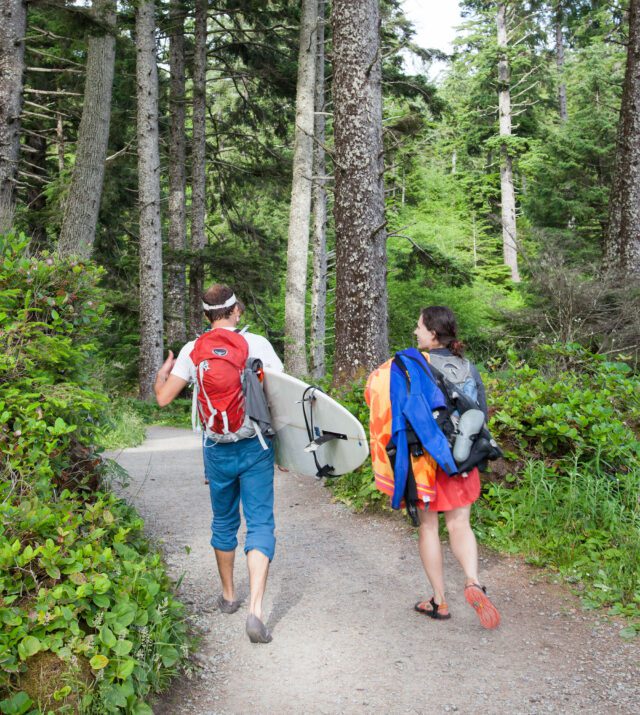 forest trail surfers