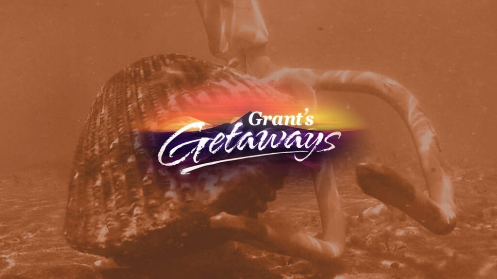 GG feature clamming 2021 06