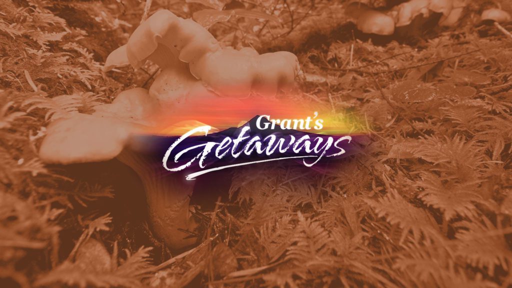 GG feature grants getaway wild harvest