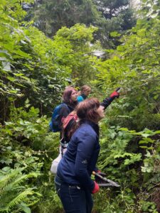 Girl Scout Troop 13020 takes on invasive growth along the Neahkahnie Connector trail at LNCT's Headwaters property