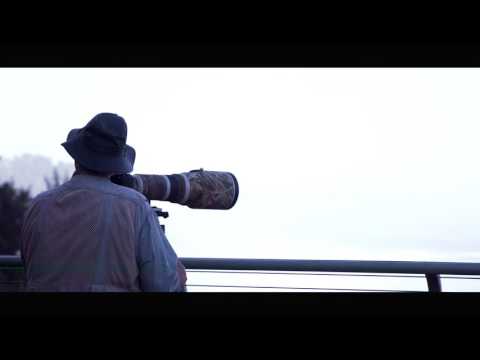 Cape Meares, Oregon Birdwatching and Photography with Neal Maine