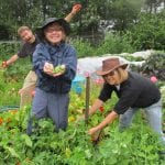 Lower Nehalem Community Trust