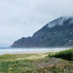 Neahkahnie Mountain Manzanita