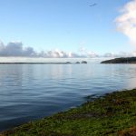 Netarts Bay Wikimedia