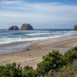 ocean sea stacks beach scrub day