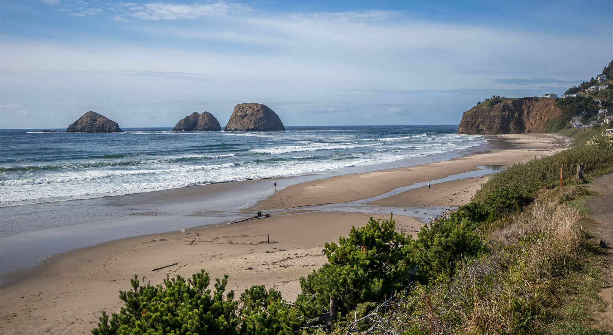 ocean sea stacks beach scrub day