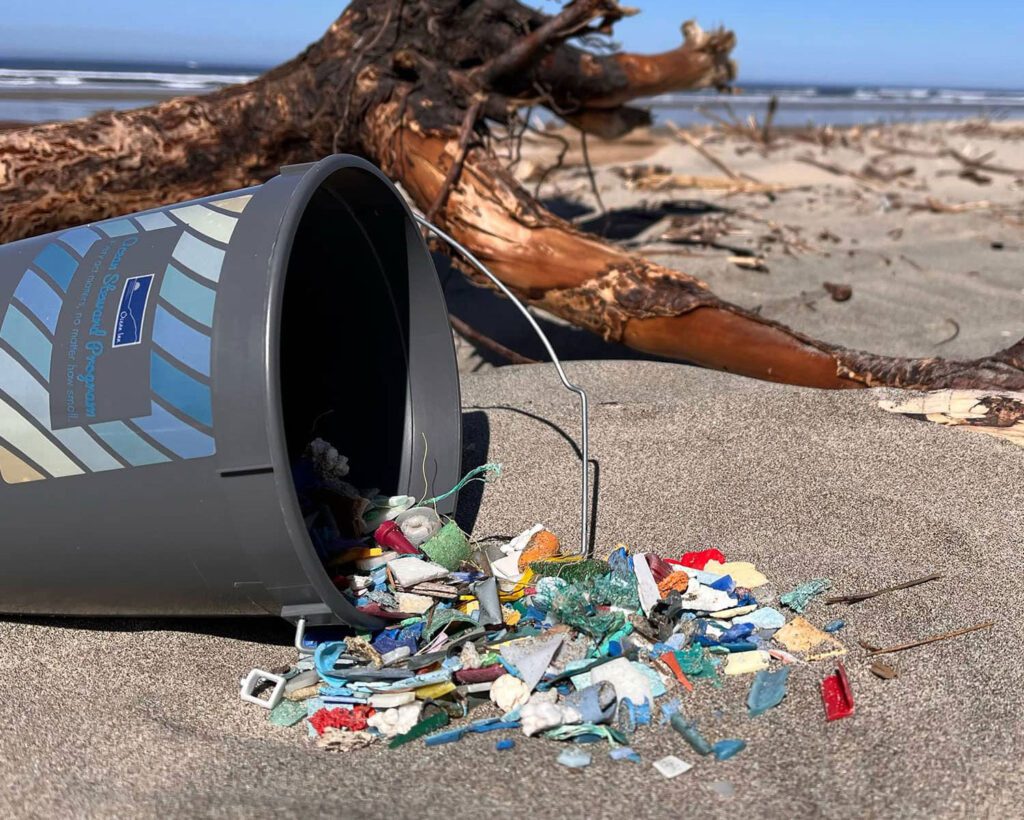 Ocean Steward Manzanita