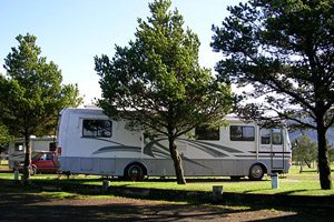 Big RV parked next to two trees
