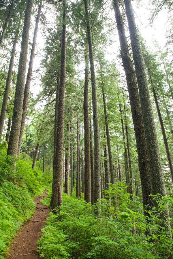 Tillamook Coast Camping