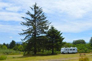 RV parked next to a tall tree near Tillamook Bay
