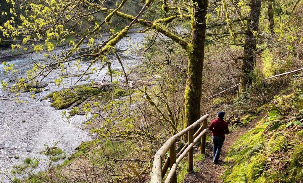 river forest path spring hiker