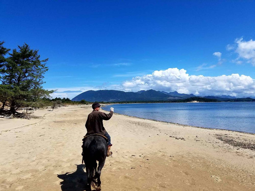 Beach horseback riding. Oregon Beach Rides
