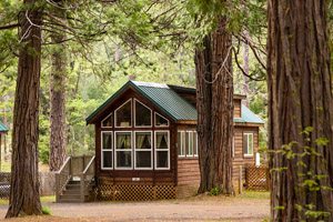 Small wooden house with a green roof in the woods
