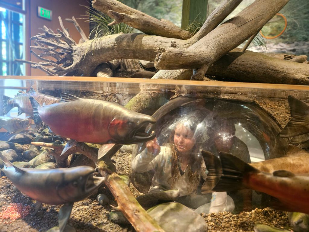 Tillamook Forest Center exhibit7