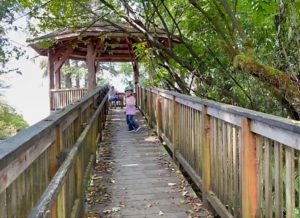 travel local Kilchis Point Reserve boardwalk 2022 08