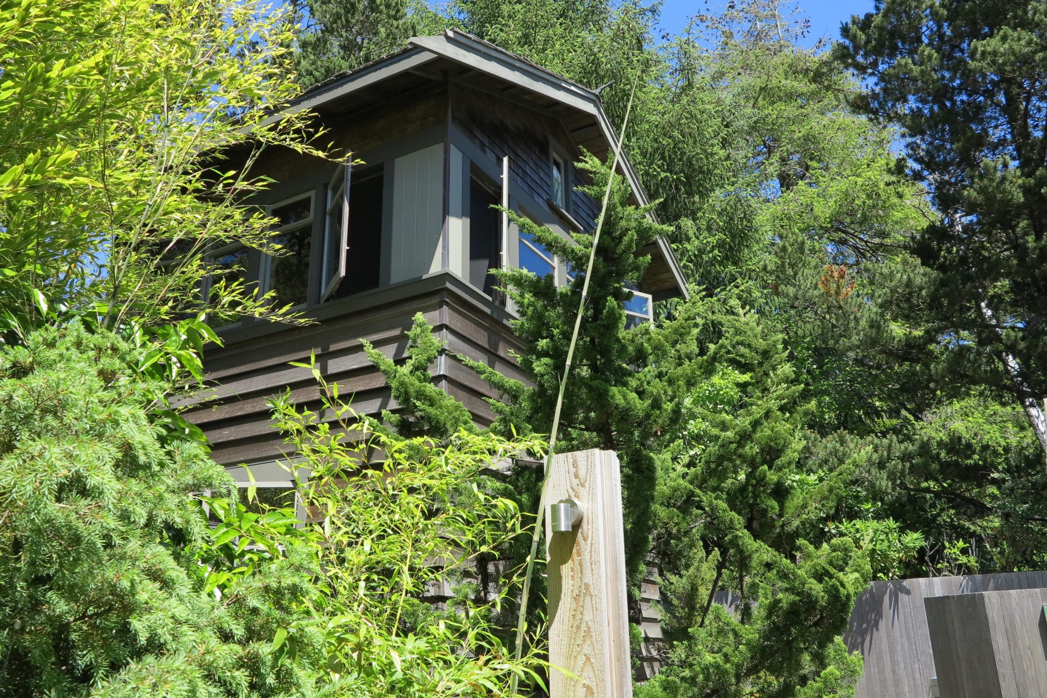 Top story of a house surrounded by tall trees